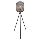Eglo Floor Lamp Rinroe Steel Black | Suitable for E27